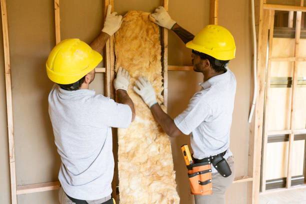 Best Basement Insulation  in Hazel Green, AL