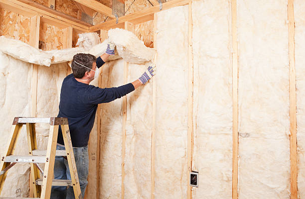 Best Insulation for New Construction  in Hazel Green, AL